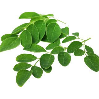 Moringa